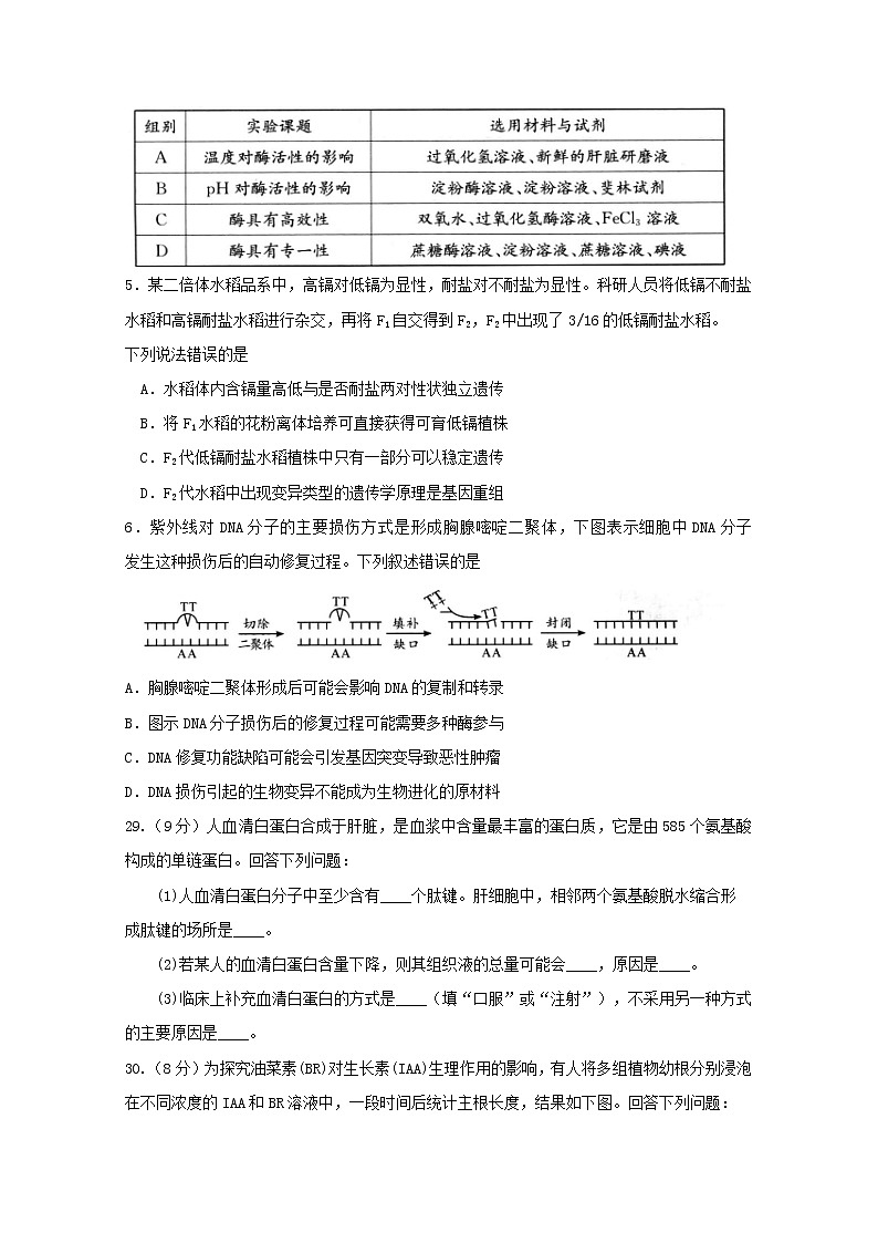 高中生物高考四川省成都市2019届高三生物第三次诊断性检测试题02