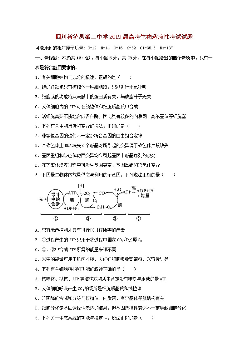 高中生物高考四川省泸县第二中学2019届高考生物适应性考试试题01