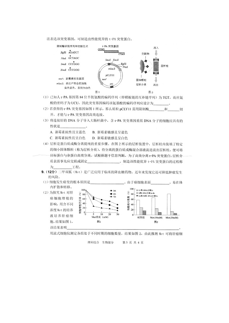 高中生物高考天津市滨海新区大港油田第一中学2019届高三生物二模考试试题（扫描版）03