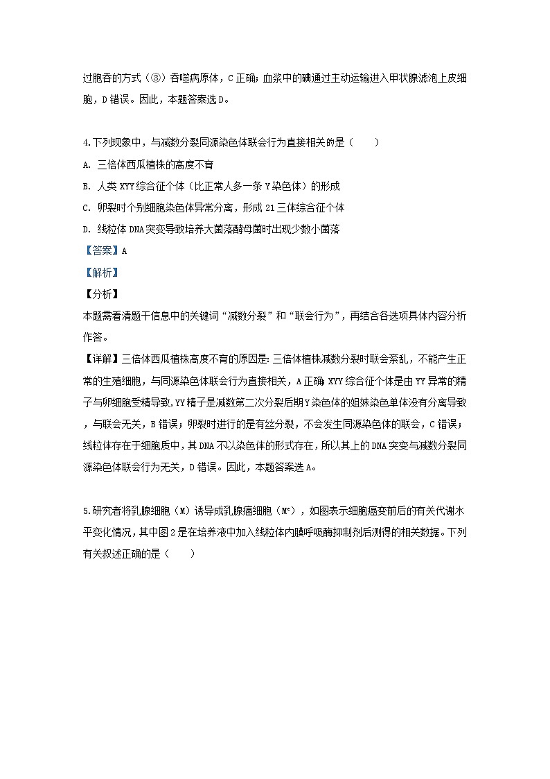 高中生物高考天津市南开区2019届高三生物下学期第二次模拟考试试卷（含解析）03