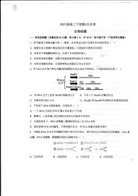 2023德州一中高二下学期4月月考生物试题扫描版含答案