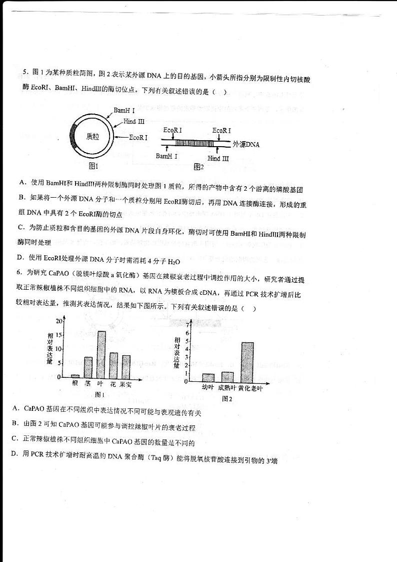 2023德州一中高二下学期4月月考生物试题扫描版含答案第2页