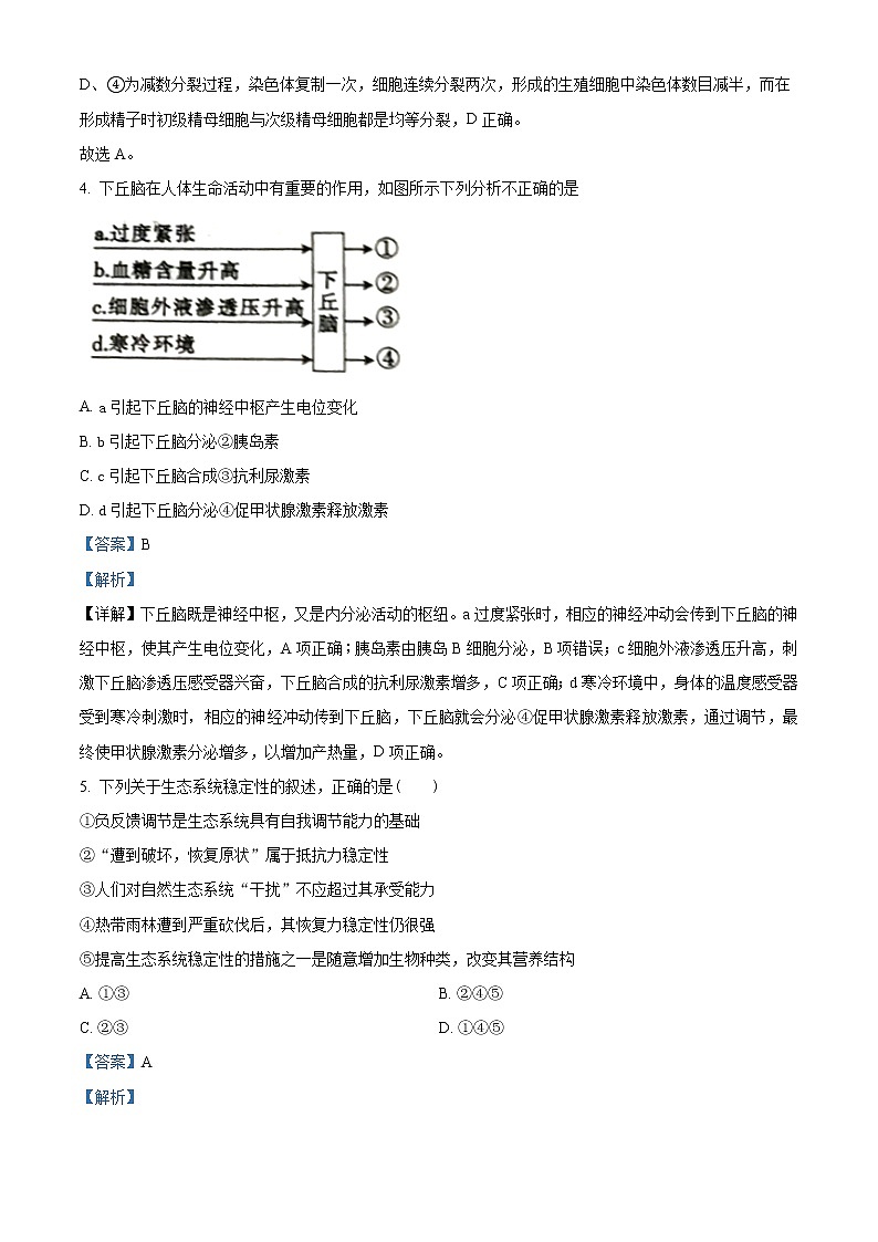 山西省大同市浑源中学2021-2022学年高二下学期期中生物试题含解析第3页