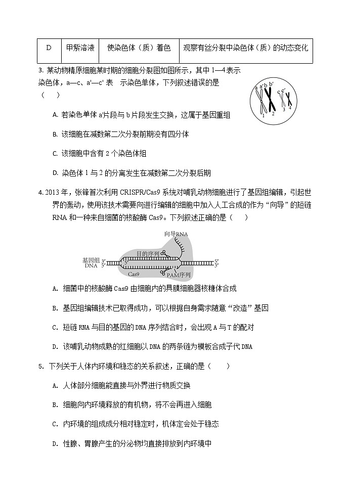 2023玉溪一中高二上学期第一次月考生物试题含答案02