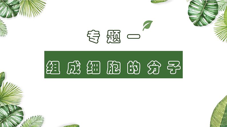 高中生物高考专题01 组成细胞的分子-2021年高考备考生物一轮复习课件第1页