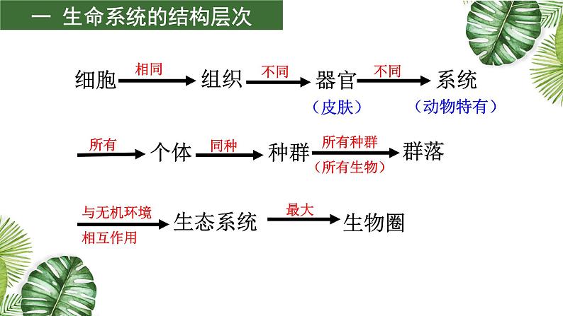 高中生物高考专题01 组成细胞的分子-2021年高考备考生物一轮复习课件第3页