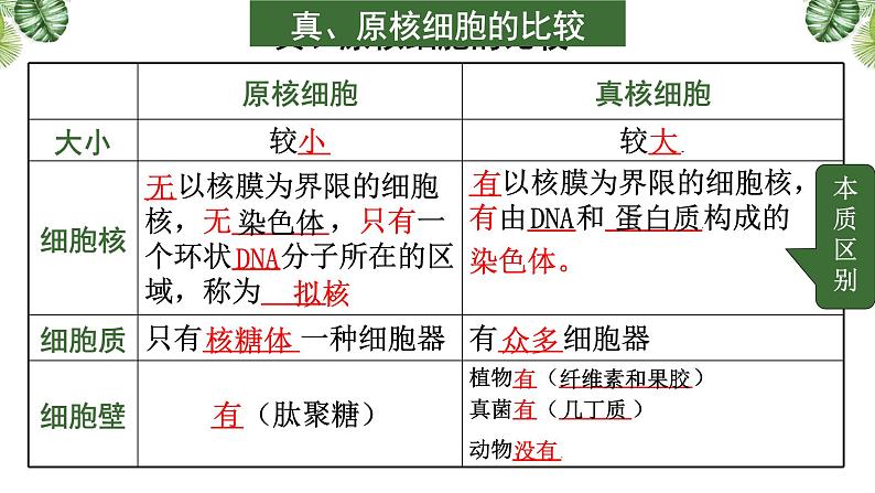 高中生物高考专题01 组成细胞的分子-2021年高考备考生物一轮复习课件第6页