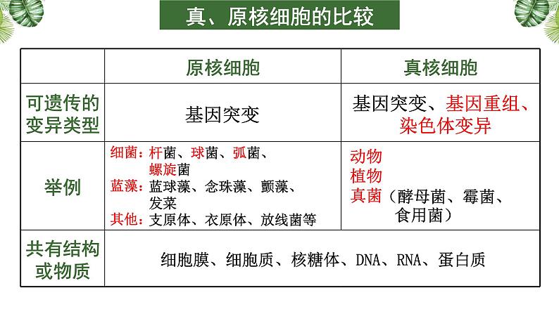 高中生物高考专题01 组成细胞的分子-2021年高考备考生物一轮复习课件第8页