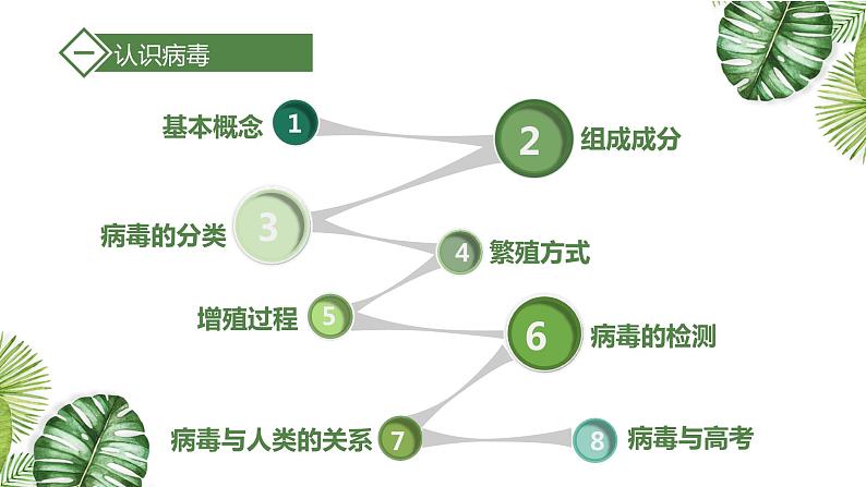 高中生物高考专题1 1 走进细胞（优质课件）-2021年高考生物大一轮复习紧跟教材第8页