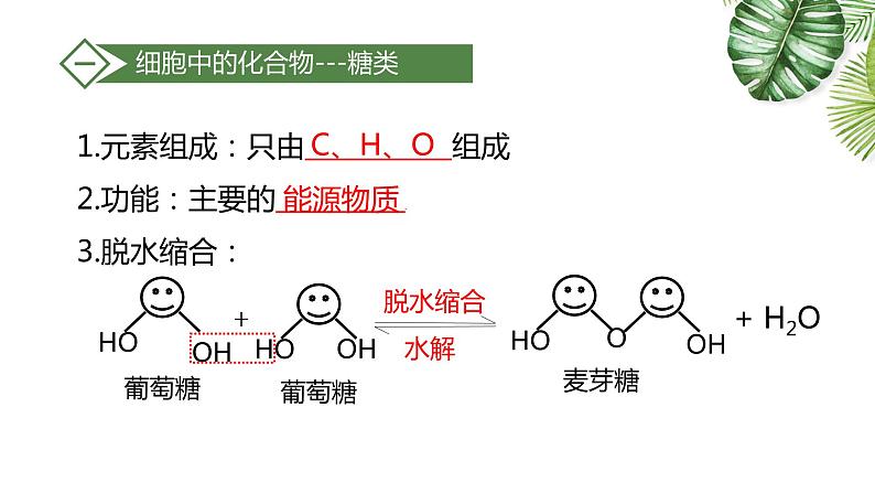 高中生物高考专题1 5 细胞中的糖类和脂质（优质课件）-2021年高考生物大一轮复习紧跟教材第4页