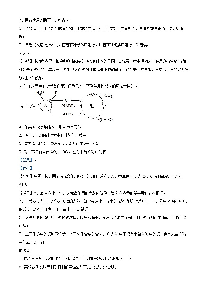 2022广安高一下学期期末考试生物试题含解析02