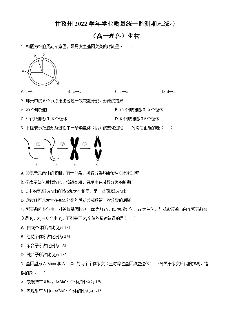 2022甘孜州高一下学期学业质量统一监测期末统考生物试题含解析01