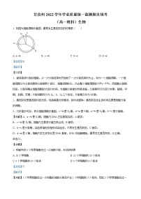 2022甘孜州高一下学期学业质量统一监测期末统考生物试题含解析