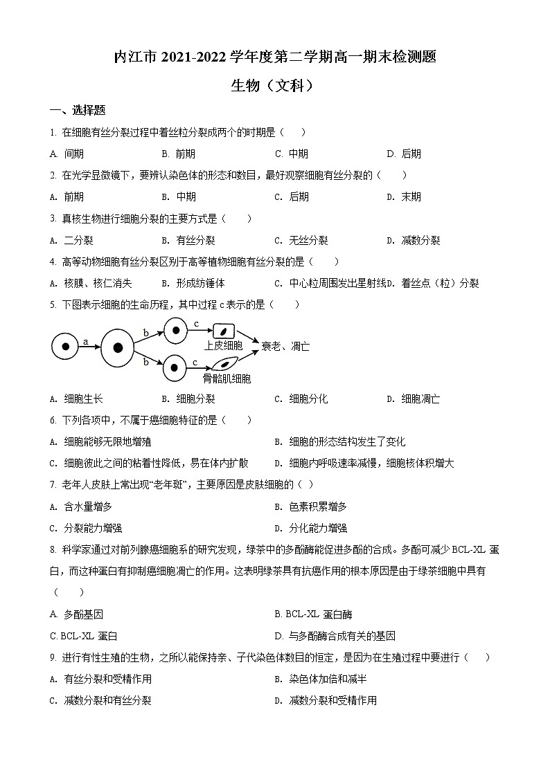 四川省内江市2021-2022学年高一下学期期末检测题生物（文）试题无答案第1页