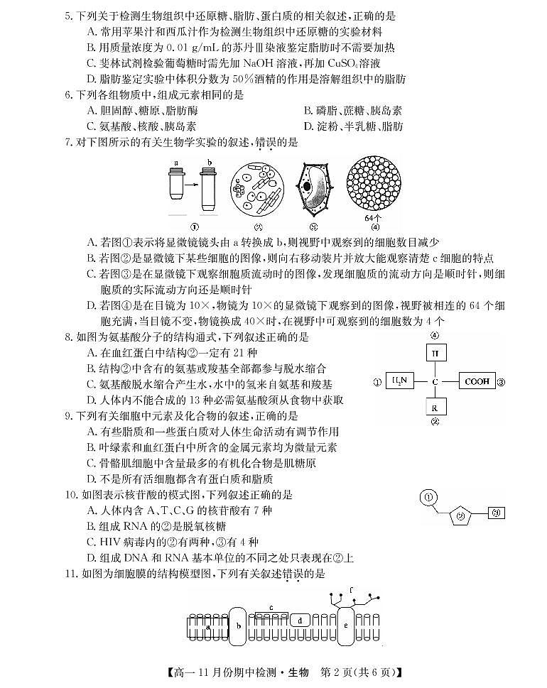 2022-2023学年山西省高中教育发展联盟高一上学期11月期中检测生物PDF版含答案02