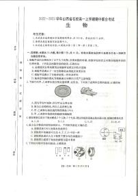 2022-2023学年山西省名校高一上学期期中联合考试生物试题PDF版含答案