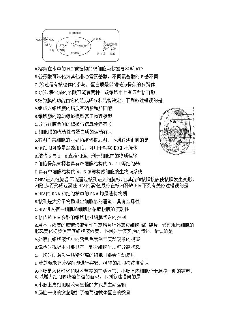 2022-2023学年河南省信阳高级中学高一上学期12月测试生物试题含答案02