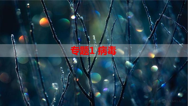 专题1 病毒-【热点专栏】备战2022年高考生物热点知识及技巧名师精讲课件01