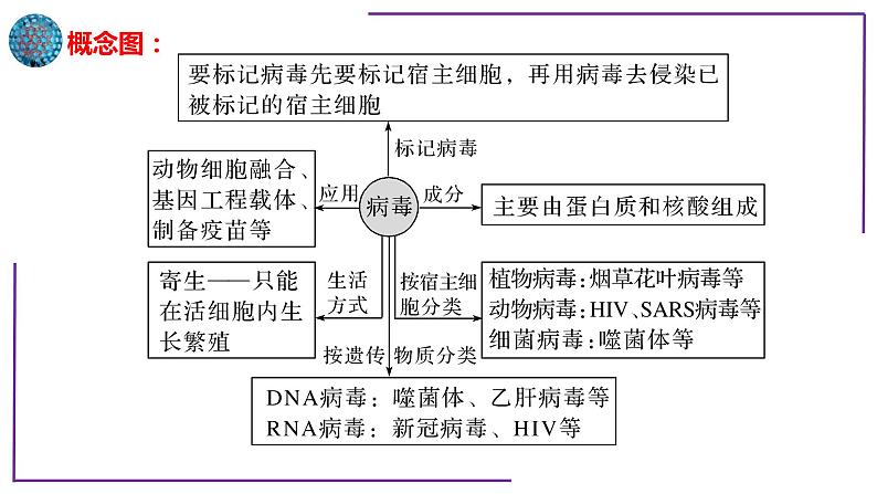 专题1 病毒-【热点专栏】备战2022年高考生物热点知识及技巧名师精讲课件02