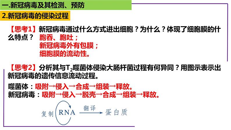 专题1 病毒-【热点专栏】备战2022年高考生物热点知识及技巧名师精讲课件05