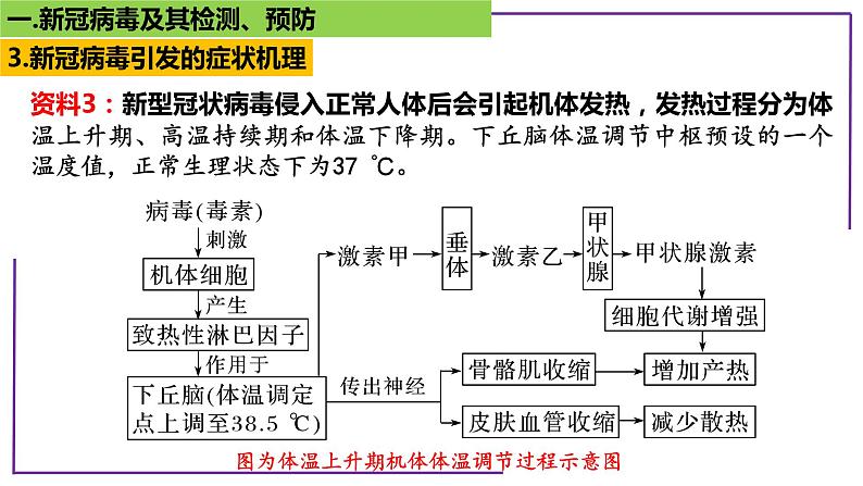 专题1 病毒-【热点专栏】备战2022年高考生物热点知识及技巧名师精讲课件07