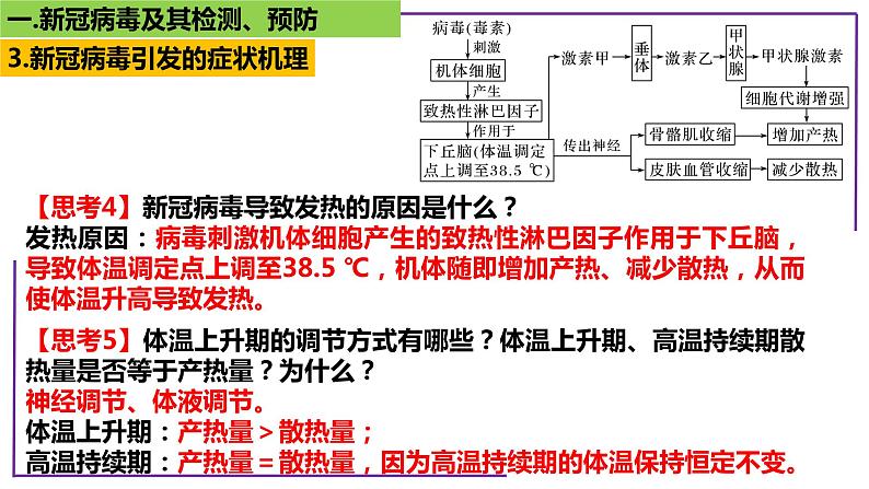 专题1 病毒-【热点专栏】备战2022年高考生物热点知识及技巧名师精讲课件08