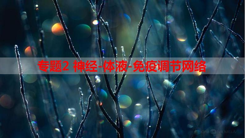 专题2 神经-体液-免疫调节网络-【热点专栏】备战2022年高考生物热点知识及技巧名师精讲课件01