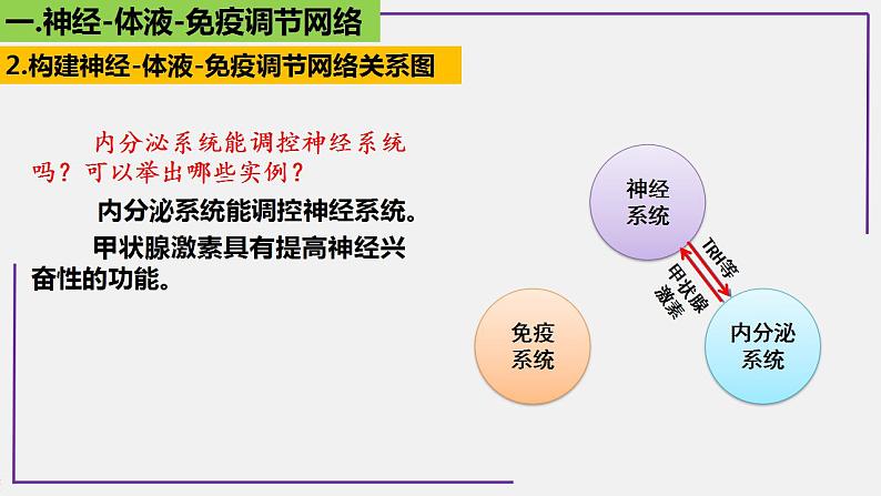 专题2 神经-体液-免疫调节网络-【热点专栏】备战2022年高考生物热点知识及技巧名师精讲课件05