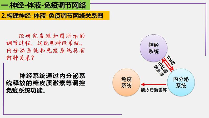 专题2 神经-体液-免疫调节网络-【热点专栏】备战2022年高考生物热点知识及技巧名师精讲课件07