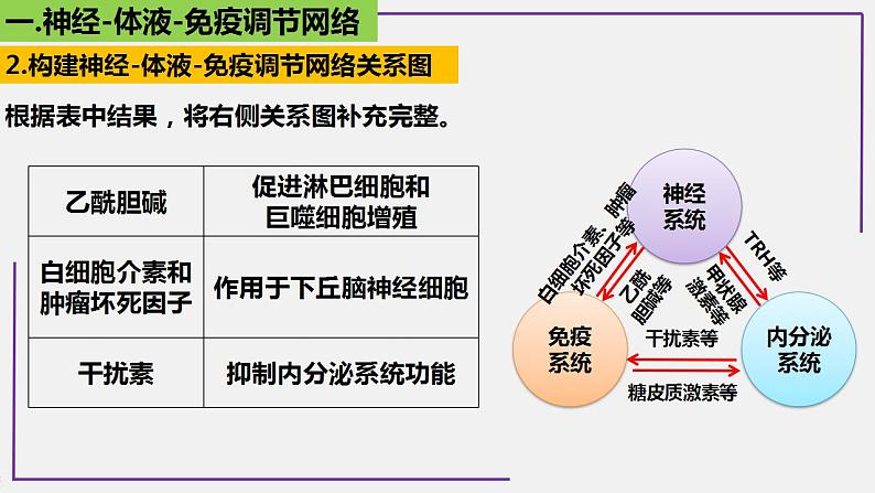 专题2 神经-体液-免疫调节网络-【热点专栏】备战2022年高考生物热点知识及技巧名师精讲课件08