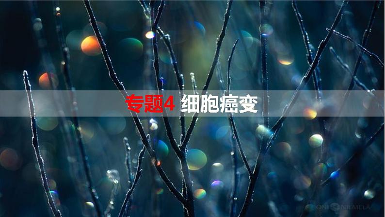 专题4 细胞癌变-【热点专栏】备战2022年高考生物热点知识及技巧名师精讲课件第1页