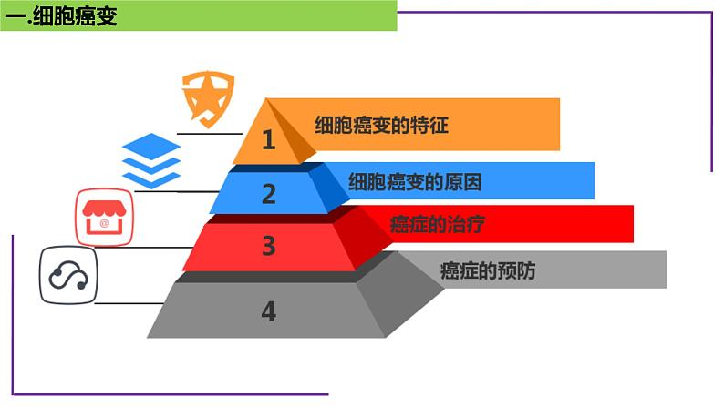 专题4 细胞癌变-【热点专栏】备战2022年高考生物热点知识及技巧名师精讲课件第2页