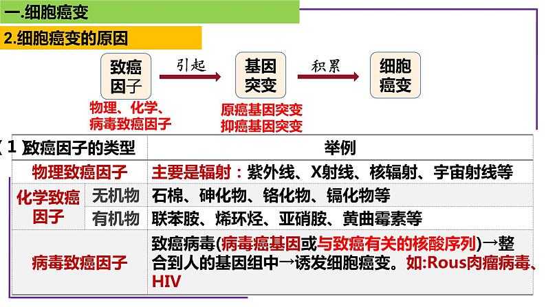 专题4 细胞癌变-【热点专栏】备战2022年高考生物热点知识及技巧名师精讲课件第6页