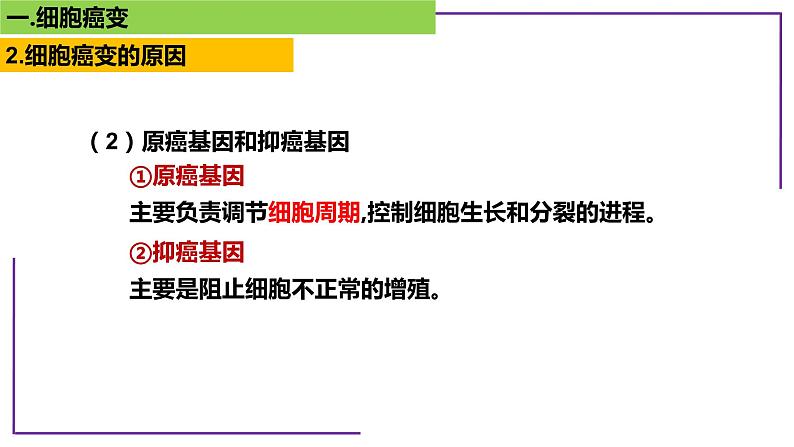 专题4 细胞癌变-【热点专栏】备战2022年高考生物热点知识及技巧名师精讲课件第7页