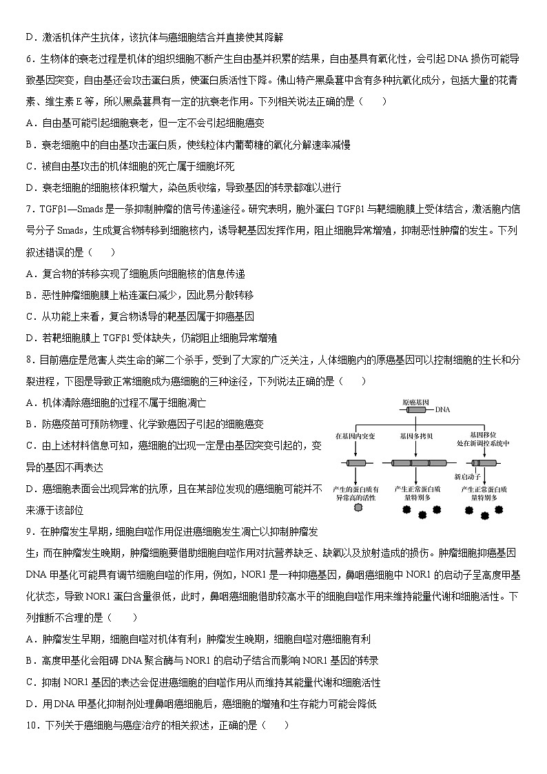 专题4 细胞癌变-备战高考生物热点知识及技巧名师精讲课件02