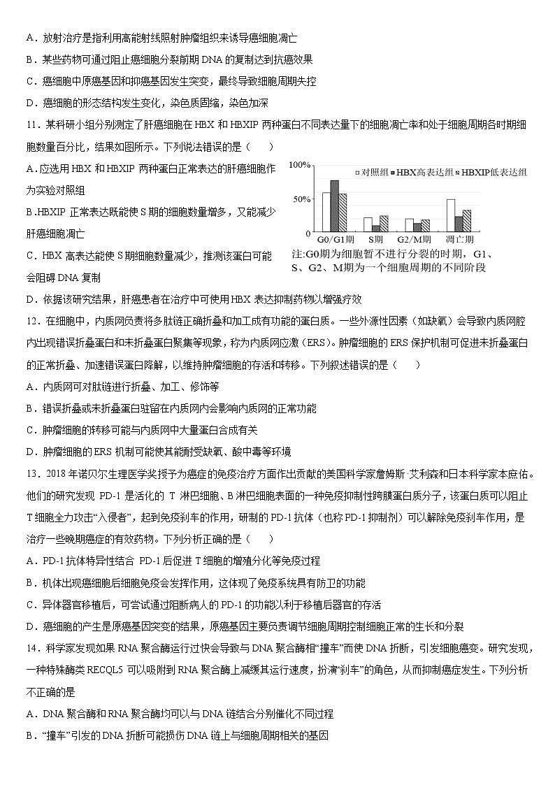 专题4 细胞癌变-备战高考生物热点知识及技巧名师精讲课件03