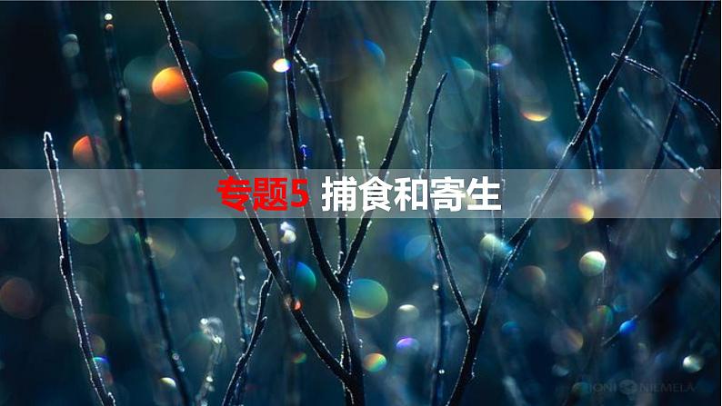 专题5 寄生与捕食-【热点专栏】备战2022年高考生物热点知识及技巧名师精讲课件01