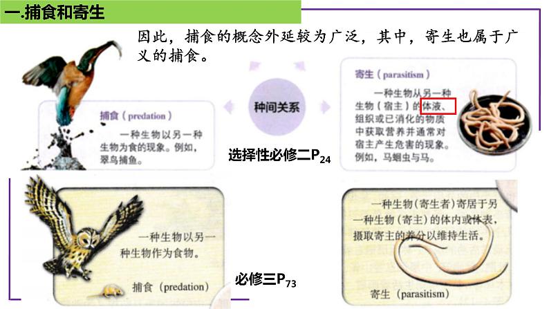 专题5 寄生与捕食-【热点专栏】备战2022年高考生物热点知识及技巧名师精讲课件07