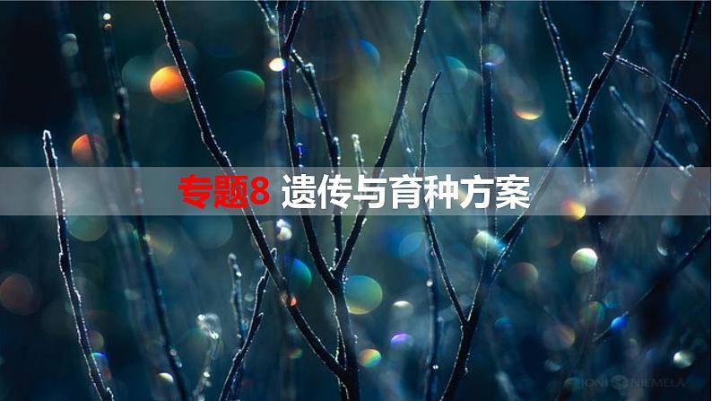 专题8 遗传与育种方案设计-【热点专栏】备战2022年高考生物热点知识及技巧名师精讲课件第1页