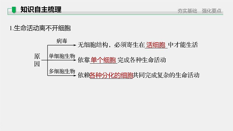 高考生物一轮复习课件+讲义  第1单元 第1讲　走近细胞07