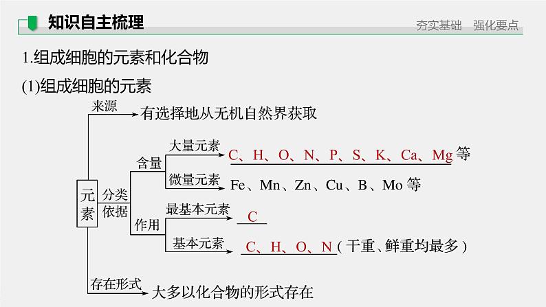 高考生物一轮复习  第1单元 第2讲　细胞中的无机物、糖类和脂质第7页