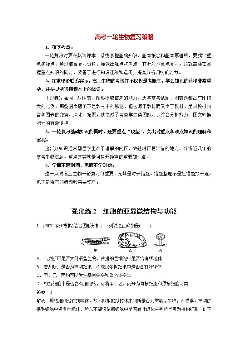 高考生物一轮复习  第2单元 强化练2　细胞的亚显微结构与功能第1页