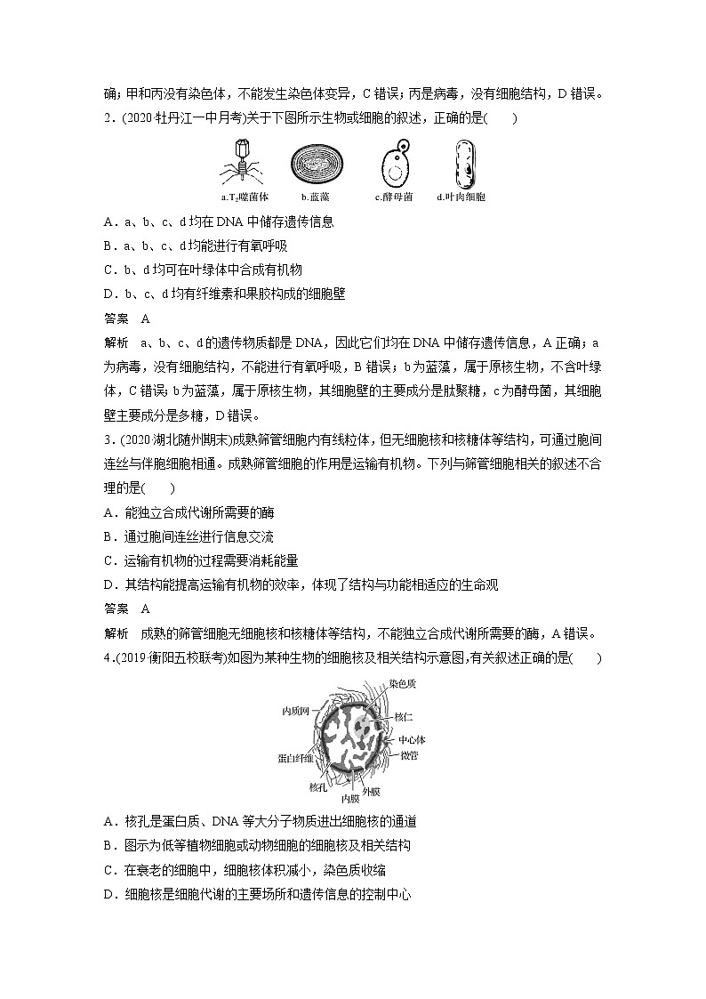 高考生物一轮复习  第2单元 强化练2　细胞的亚显微结构与功能第2页