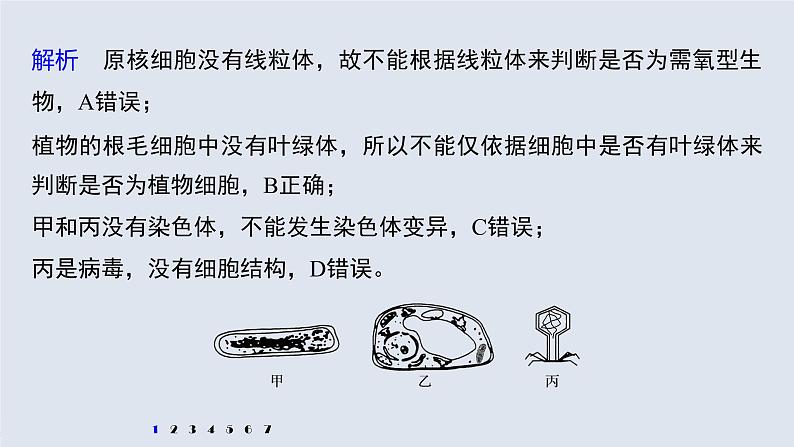 高考生物一轮复习课件+讲义  第2单元 强化练2　细胞的亚显微结构与功能05