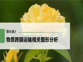 高考生物一轮复习课件+讲义  第2单元 强化练3　物质跨膜运输相关图形分析