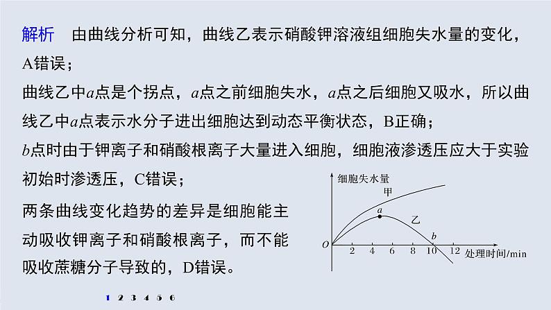 高考生物一轮复习  第2单元 强化练3　物质跨膜运输相关图形分析第5页