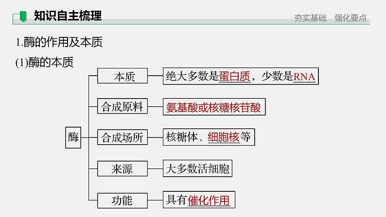 高考生物一轮复习  第3单元 第7讲　酶第7页