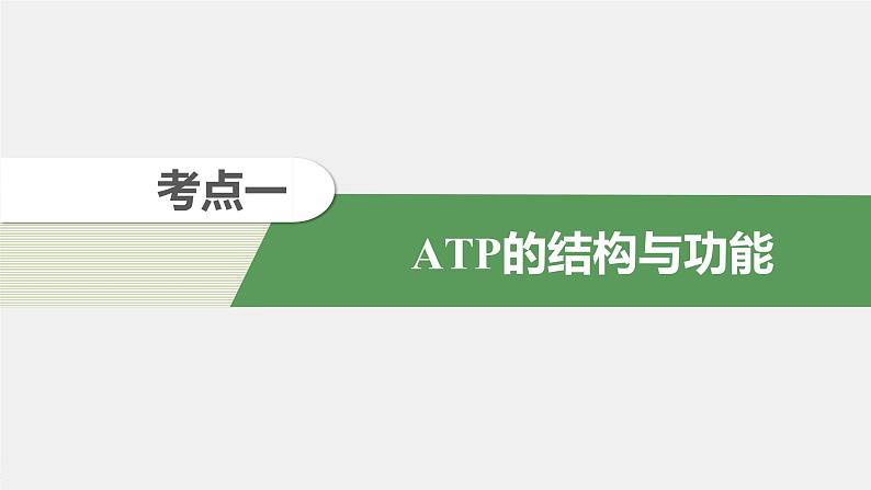 高考生物一轮复习  第3单元 第8讲　ATP和细胞呼吸第6页