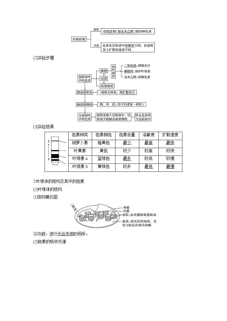 高考生物一轮复习课件+讲义  第3单元 第9讲　光与光合作用02
