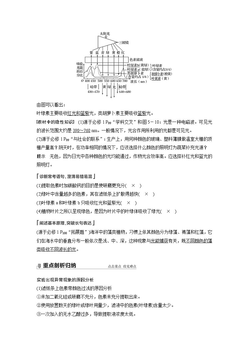 高考生物一轮复习课件+讲义  第3单元 第9讲　光与光合作用03